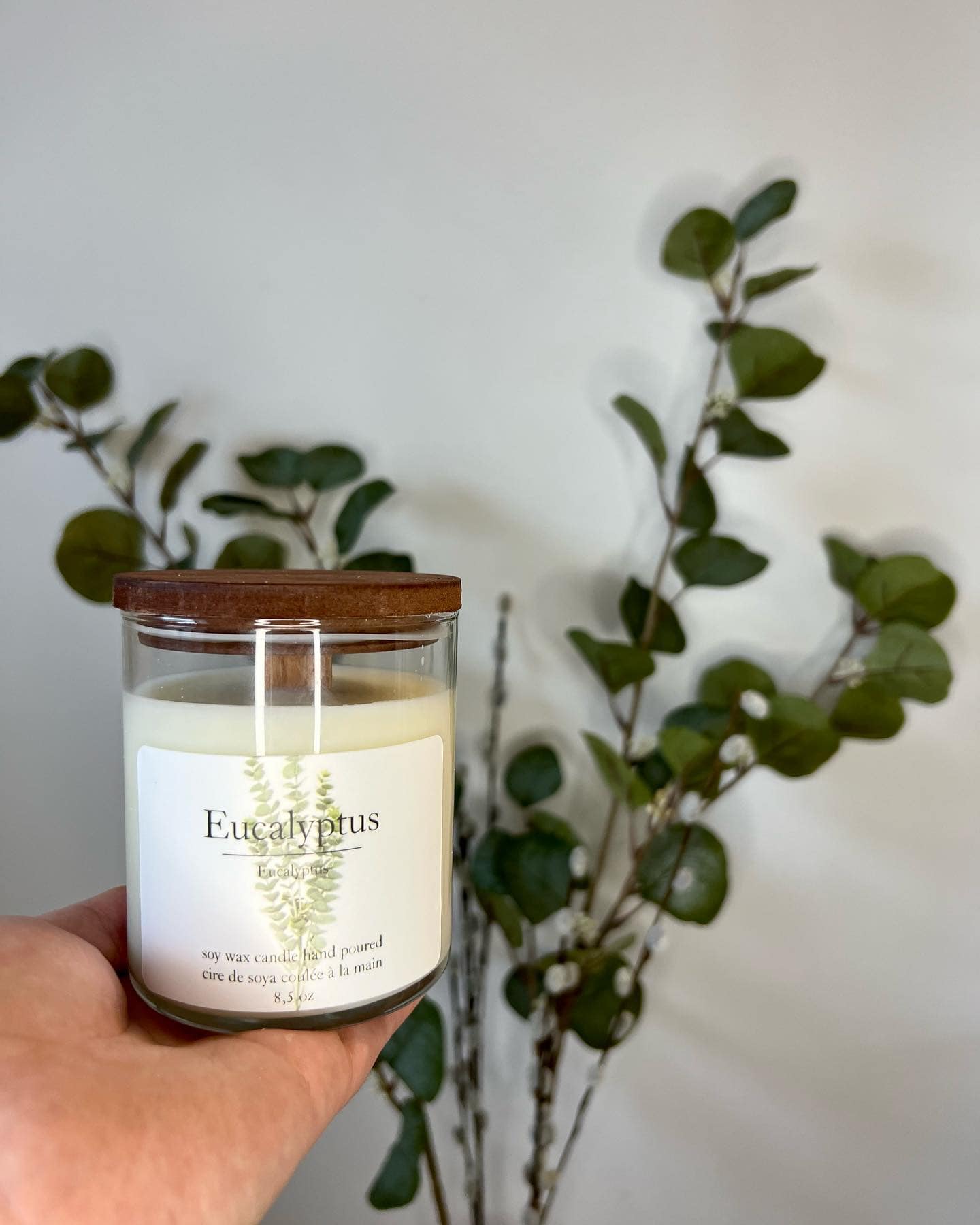 Eucalyptus