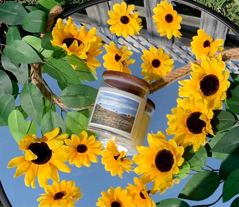 Tournesol