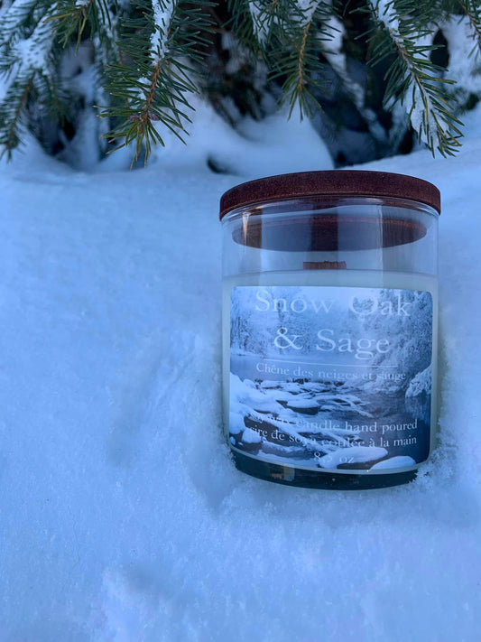 Chêne des neiges et sauge